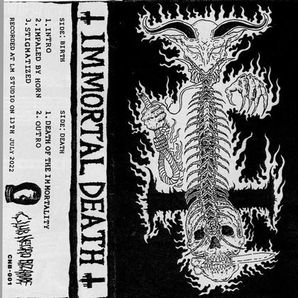 1st TAPE！ IMMORTAL DEATH : PUNK AND DESTROY