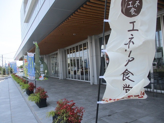 静岡ガスのエネリア食堂で、ほていの焼き鳥「親子丼」と「まつコロ」のランチ_f0141310_08235999.jpg