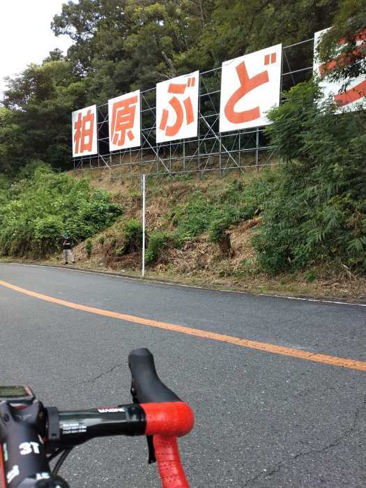 2022年8月の輪活(後編 雨ばかり…)　_a0386742_15090954.jpg