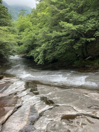 東沢釜の沢 沢登りしてきました!_c0369344_13582866.jpeg