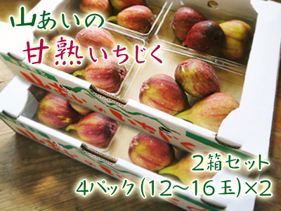 こだわりの『甘熟いちじく』大好評販売中!数量限定、完全予約制販売でご予約順にお届けします!_a0254656_18353807.jpg