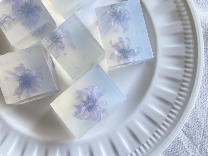 チコリの花_d0327373_12213154.jpeg