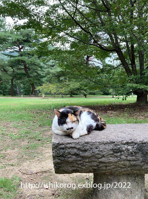 夏の終わりのみやま公園_a0223379_14054380.jpg