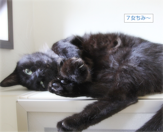 見せられない場所_a0389088_16021319.jpg