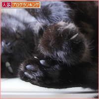 見せられない場所_a0389088_16021339.jpg