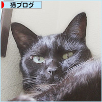 見せられない場所_a0389088_16021399.jpg