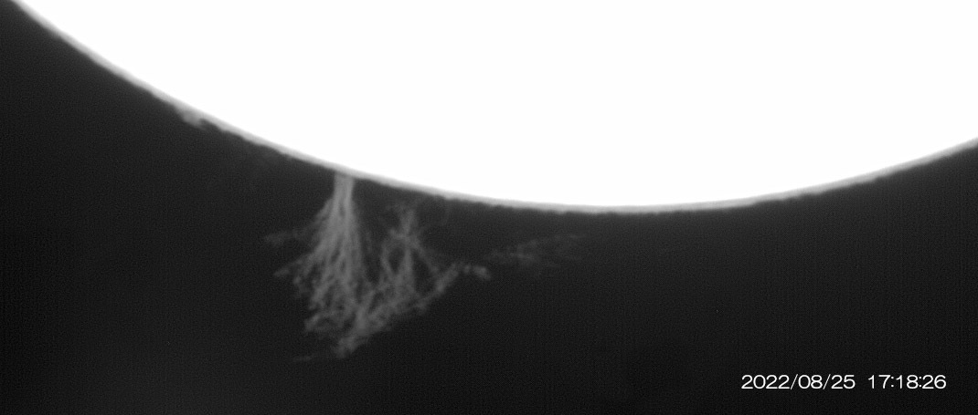 8月25日の太陽_e0174091_12012123.jpg