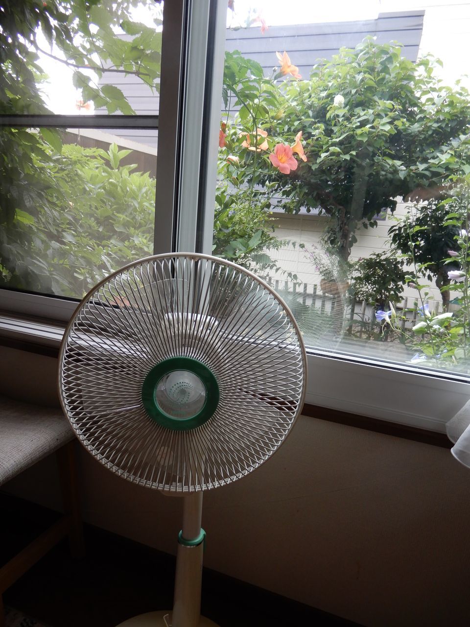 もう扇風機もいらない_c0025115_21483999.jpg