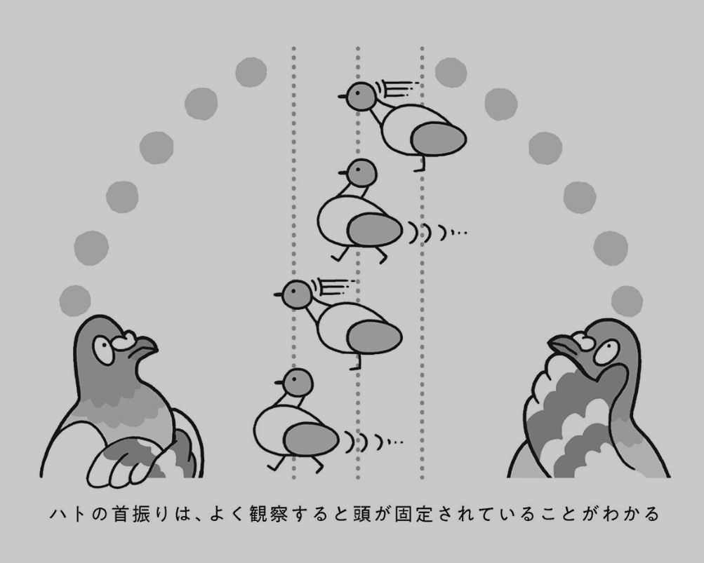 もう扇風機もいらない_c0025115_22014243.jpg