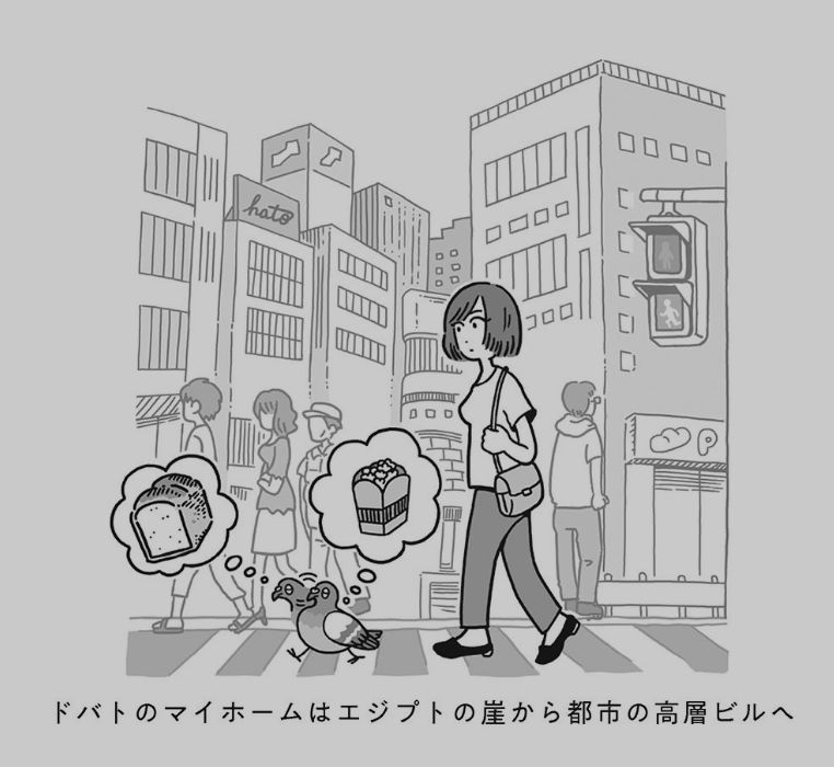 もう扇風機もいらない_c0025115_22031547.jpg