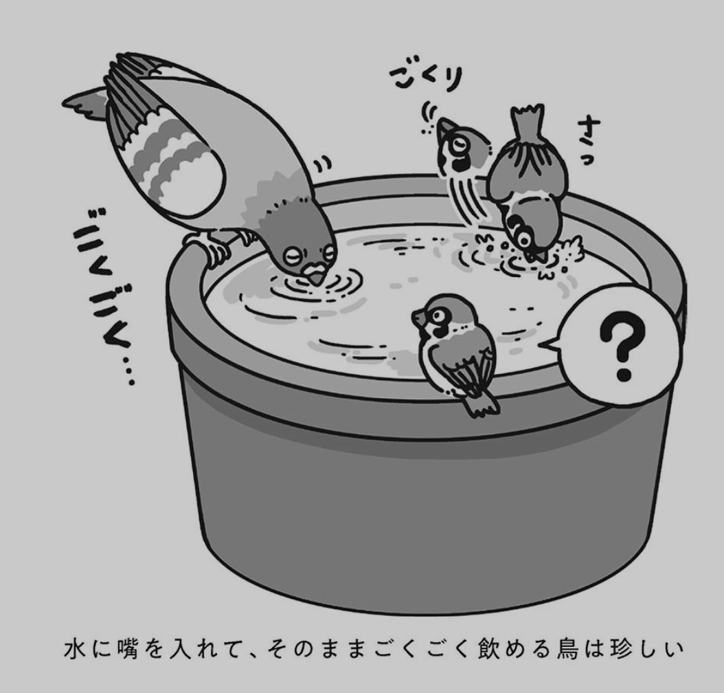 もう扇風機もいらない_c0025115_22130786.jpg