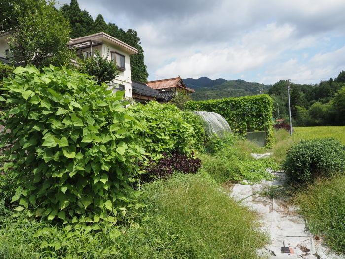 寒山方面と畑_c0116915_00002938.jpg