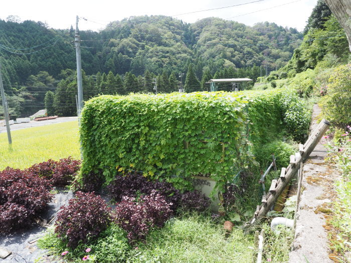 寒山方面と畑_c0116915_00005256.jpg