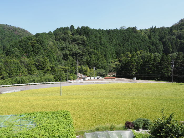 晴れのち曇り_c0116915_23502495.jpg