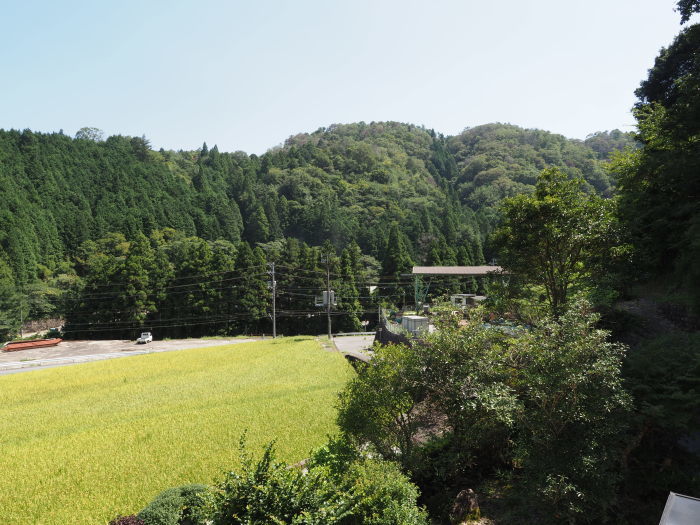晴れのち曇り_c0116915_23503408.jpg
