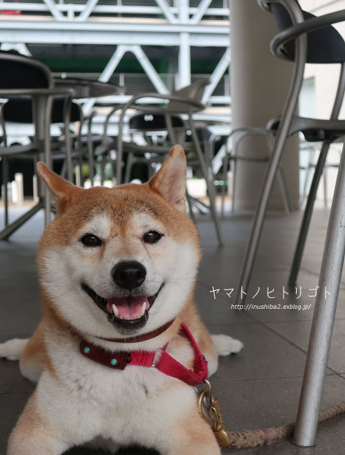 最近食べたもの【立秋】①_e0394031_07335165.jpg