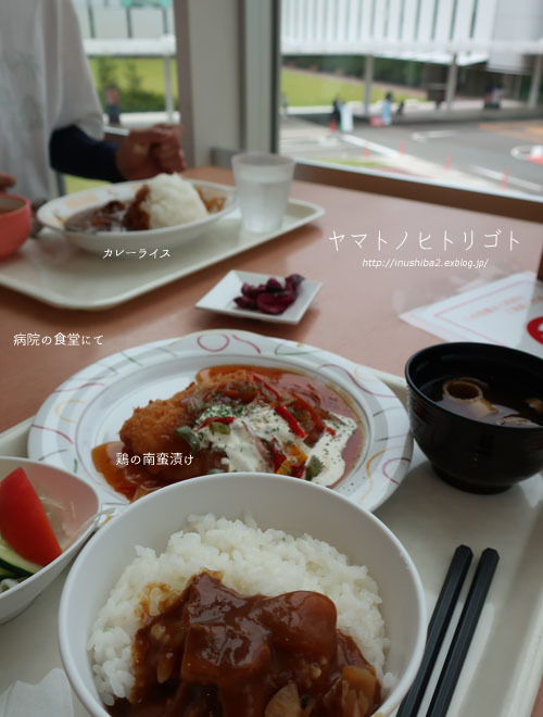 最近食べたもの【立秋】①_e0394031_07335332.jpg