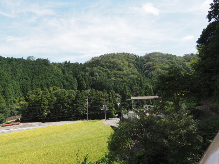 晴れ時々曇り_c0116915_23461709.jpg
