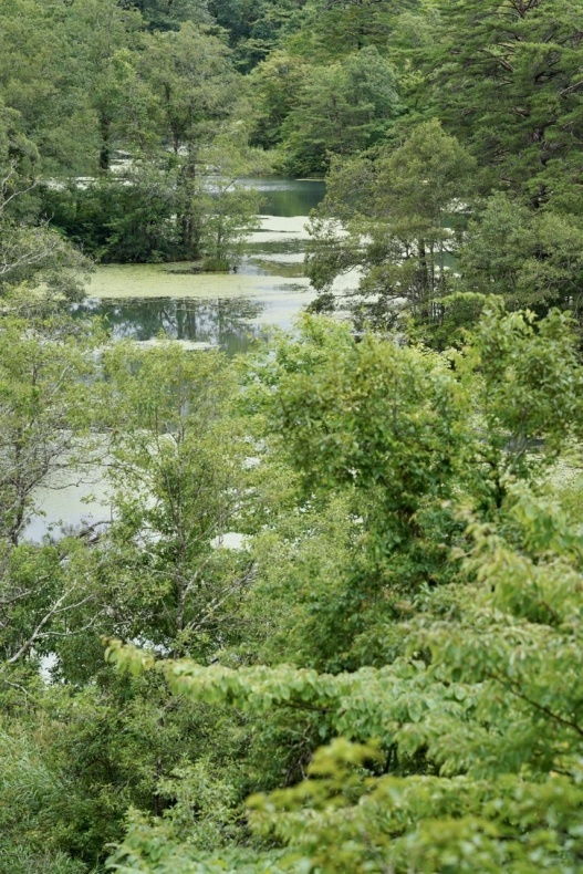 まゝに/8月の散策 磐梯朝日国立公園_d0342426_22081859.jpeg
