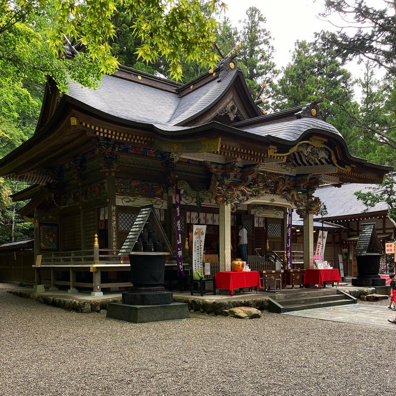 宝の山に登る_c0060143_15354177.jpg