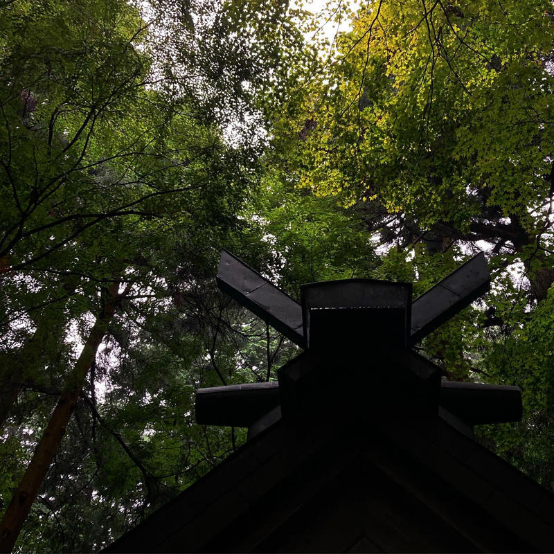 宝の山に登る_c0060143_15362181.jpg
