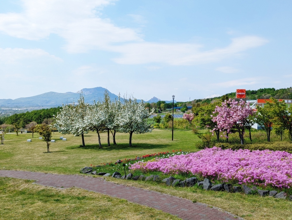 営業所訪問 5月_d0039059_14371590.jpg