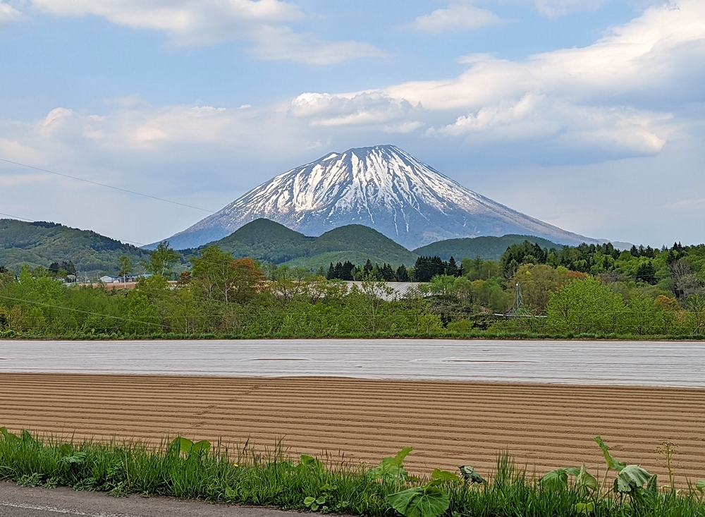 営業所訪問 5月_d0039059_14381233.jpg