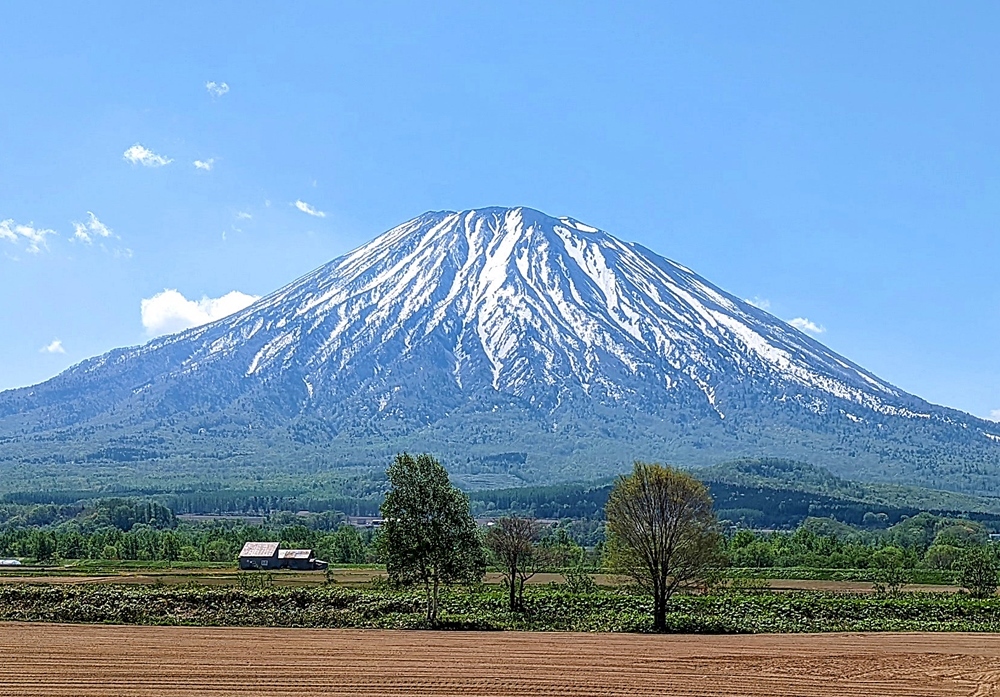 営業所訪問 5月_d0039059_14491744.jpg