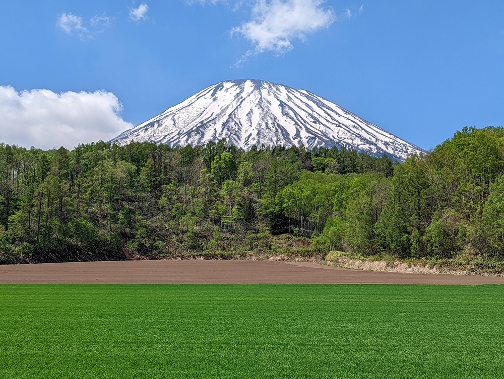 営業所訪問 5月_d0039059_14504876.jpg