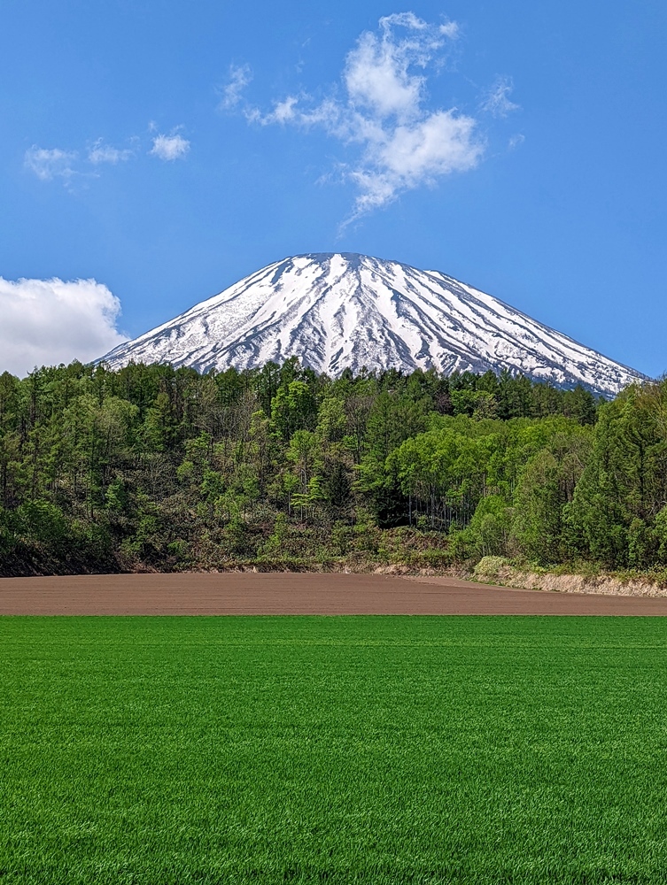 営業所訪問 5月_d0039059_14505848.jpg