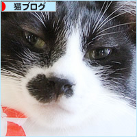 ぶどう猫_a0389088_06125560.jpg