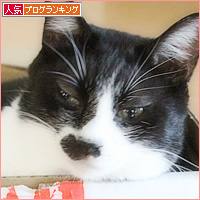 ぶどう猫_a0389088_06125579.jpg