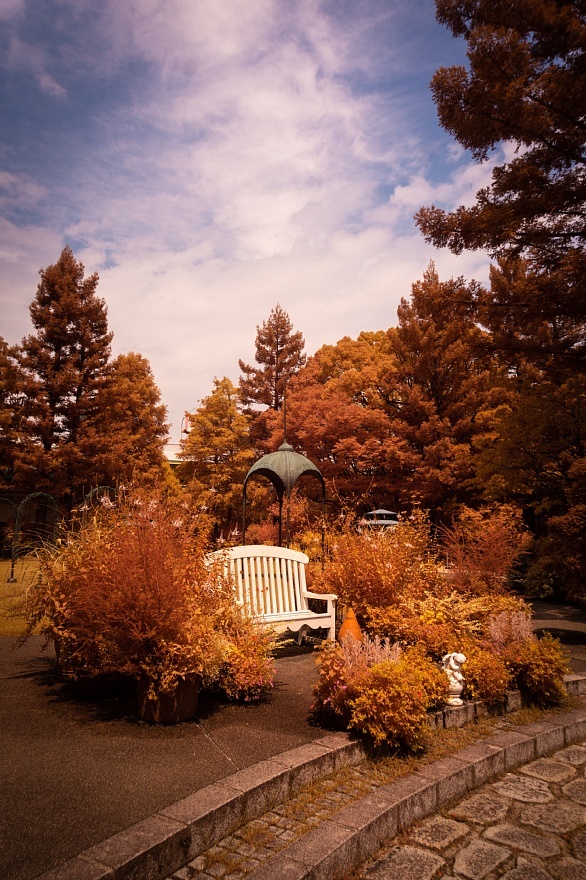秋へ向かう都市公園_d0353489_20362751.jpg