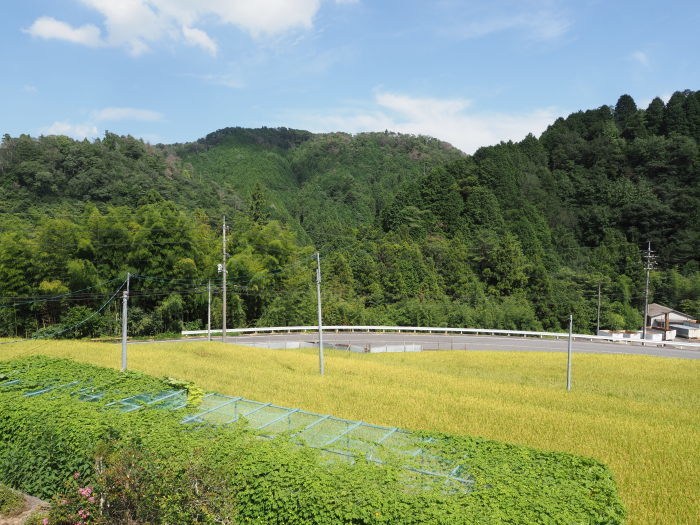 薄曇りのち晴れ時々曇り_c0116915_23553006.jpg