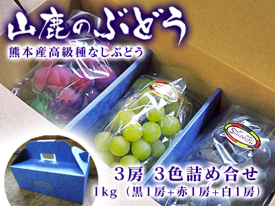 熊本産高級種なしぶどう『山鹿のぶどう』令和4年度の3色ぶどうは9月9日が最終日!残りわずか!早い者勝ち_a0254656_18583997.jpg