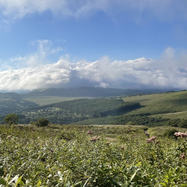 霧ヶ峰・八島ヶ原湿原・和田峠^^_a0211886_00101758.jpg