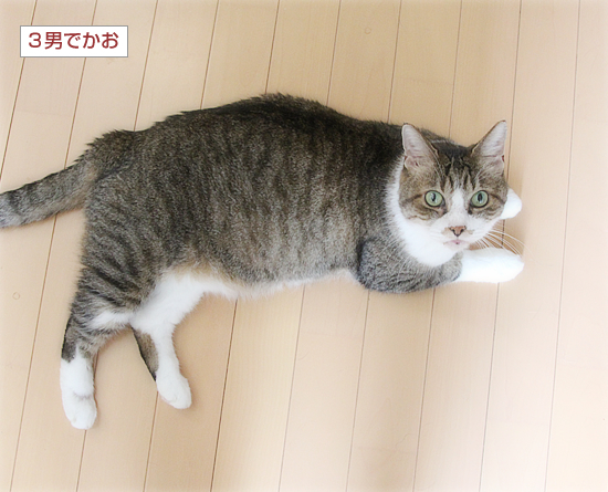 全の発送された場所_a0389088_16333745.jpg