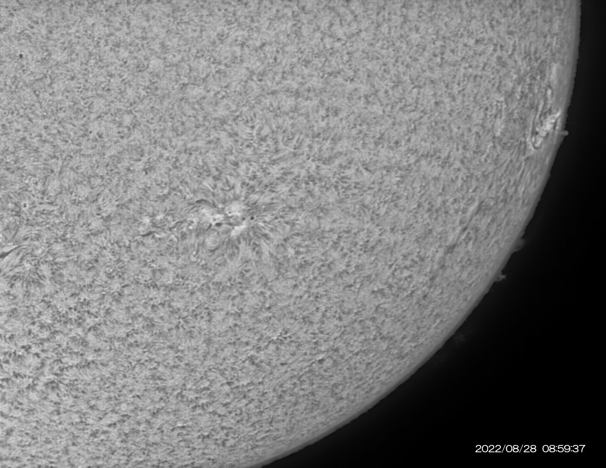 8月28日の太陽_e0174091_17031331.jpg
