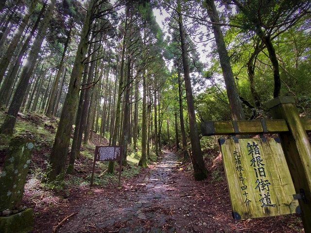 江戸の面影 ~箱根 甘酒茶屋~_a0169902_11494921.jpg