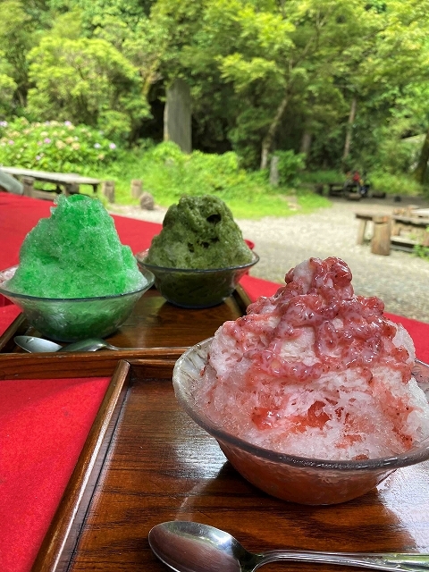 江戸の面影 ~箱根 甘酒茶屋~_a0169902_11504367.jpg