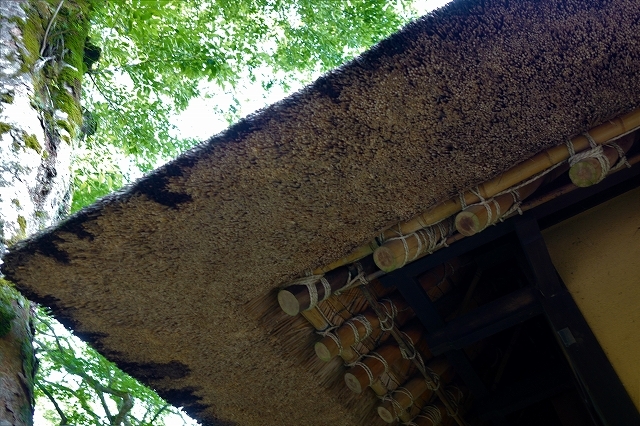 江戸の面影 ~箱根 甘酒茶屋~_a0169902_11504485.jpg