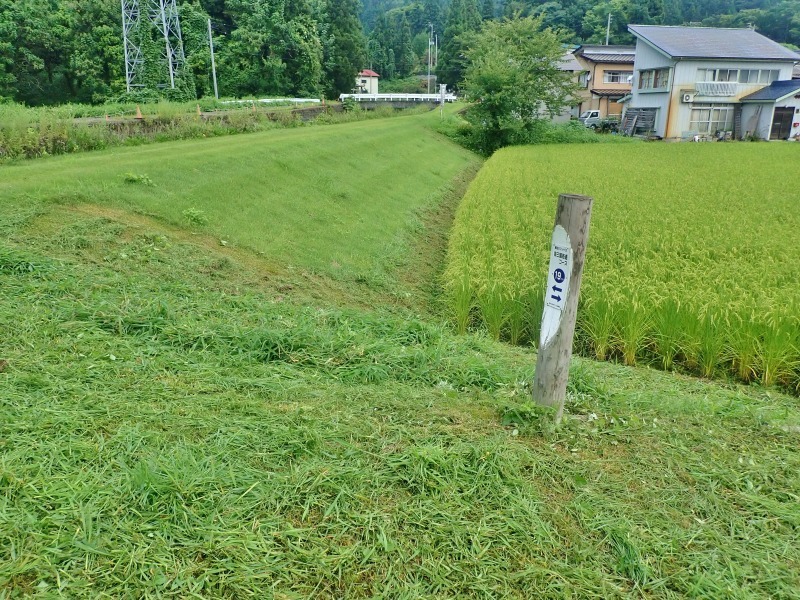 土曜日の兼業農家は引き続きフットパスコースの草刈り作業_c0336902_15121321.jpg