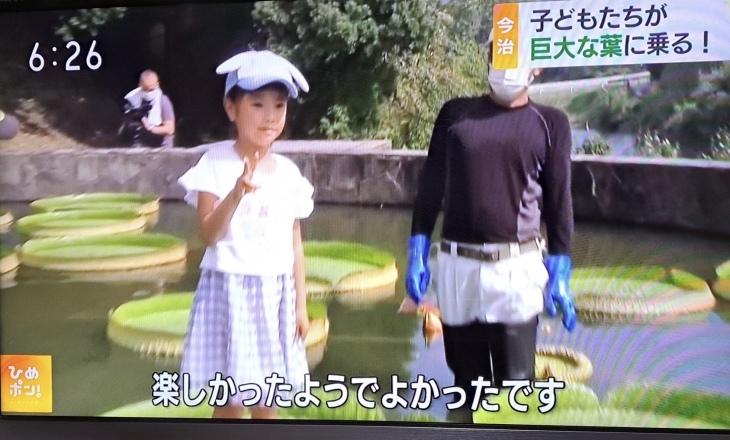 今治市 市民の森のオオオニバス葉の上に乗る 試乗会 22 8 30 徳ちゃん便り