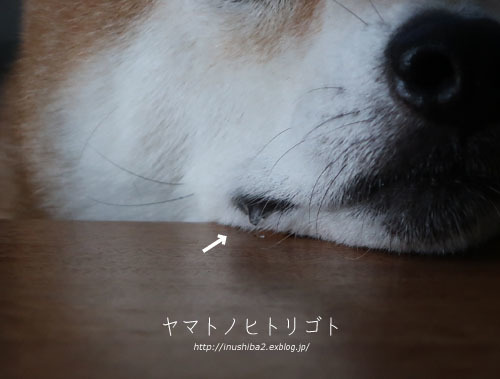 最近食べたもの【立秋】③_e0394031_06350625.jpg