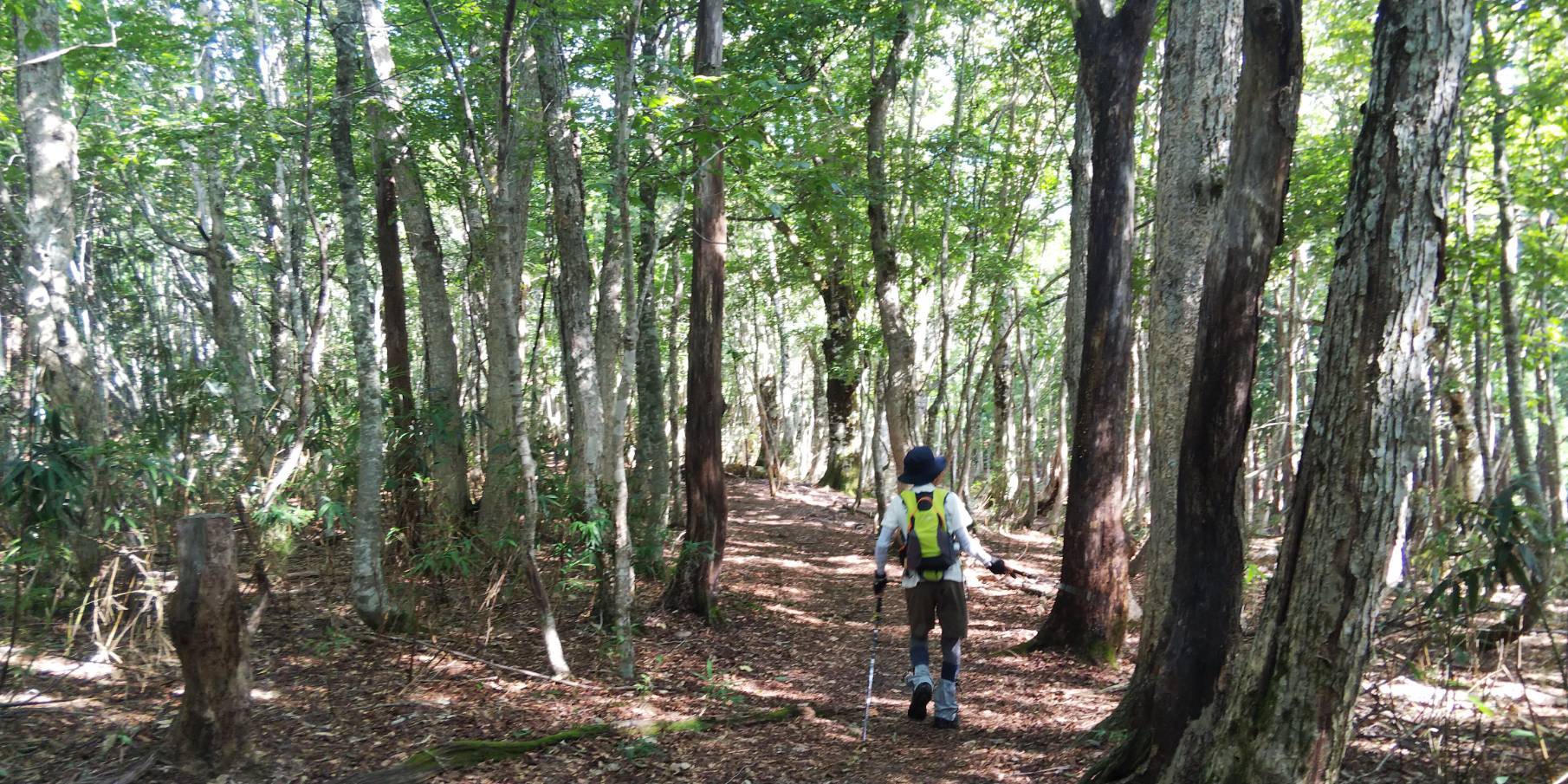 宍粟５０名山の最高峰｢氷ノ山三ノ丸｣_e0339452_20455143.jpg