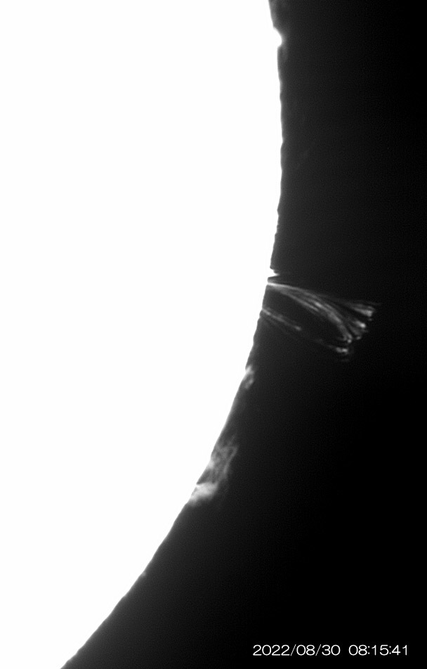 8月30日の太陽_e0174091_10471090.jpg