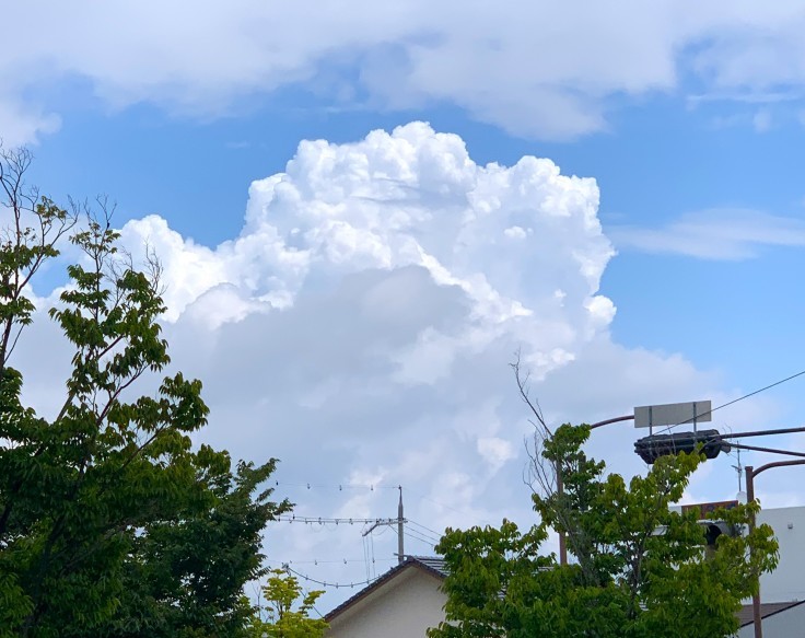冷たくて甘い 夏の思い出『山ト氷さん』_d0249193_18261927.jpg