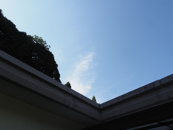 今日の田んぼ_c0116915_00173887.jpg