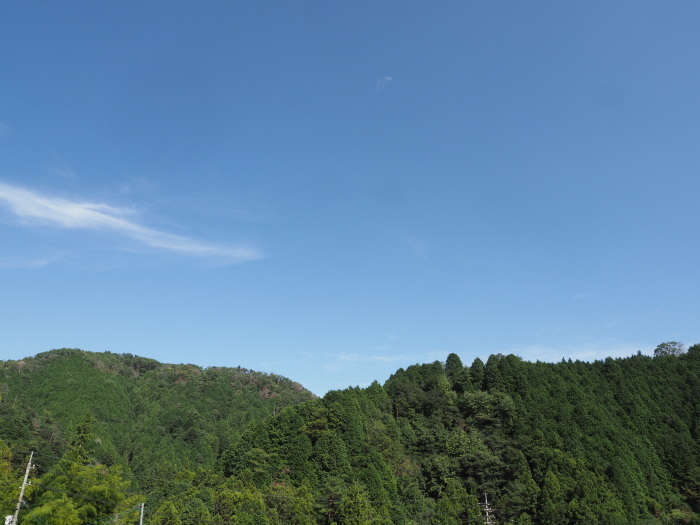 今日の田んぼ_c0116915_00175634.jpg