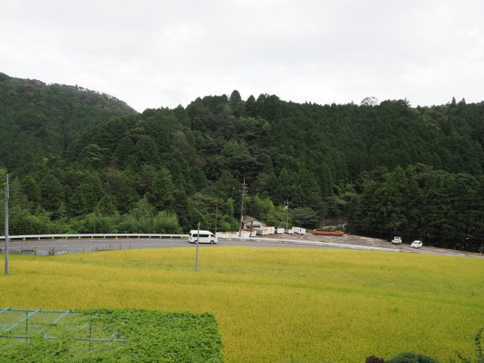 曇り時々雨_c0116915_23515847.jpg